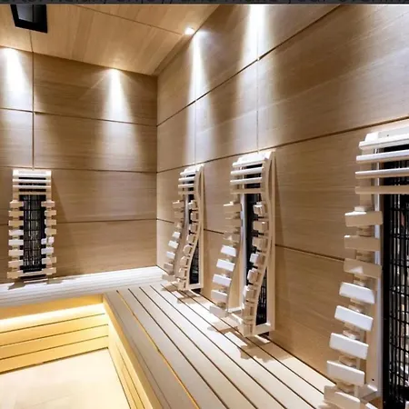 Designer At Pirin Sense 반스코