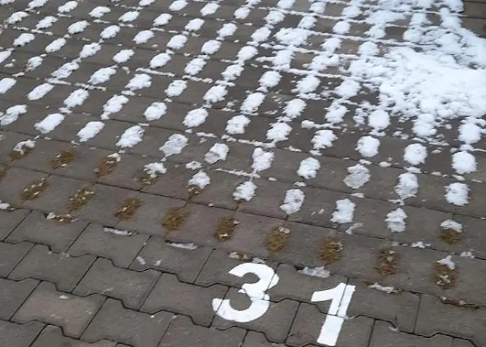 Designer At Pirin Sense *